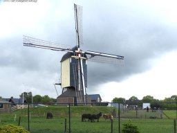ws 382